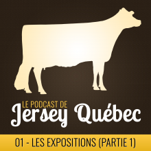 Les expositions - Partie 1